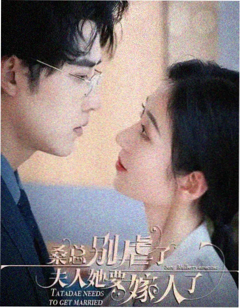 八一影视 电视剧 白桦林的夏天 海报